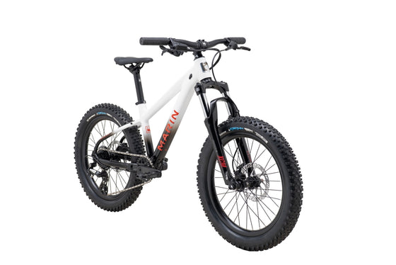 MARIN San Quentin 20"