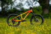 MARIN San Quentin 20"