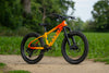 MARIN San Quentin 20"