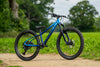 MARIN San Quentin 24"