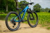 MARIN San Quentin 24"