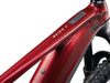 GIANT Reign E+ 2