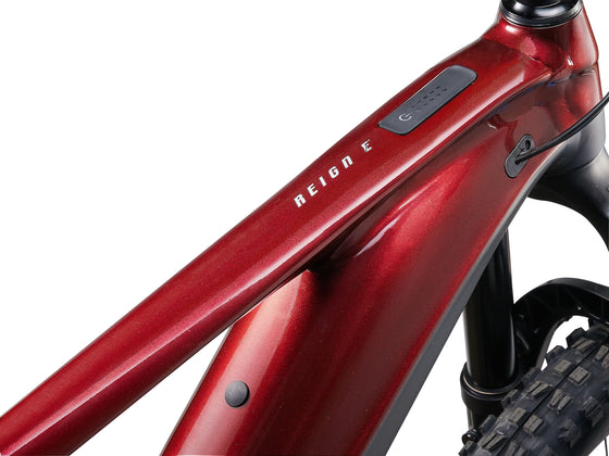 GIANT Reign E+ 2