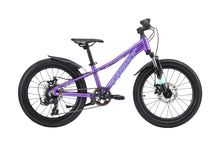  Silverback Spyke 20 Disc