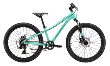  Silverback Spyke 24 Disc