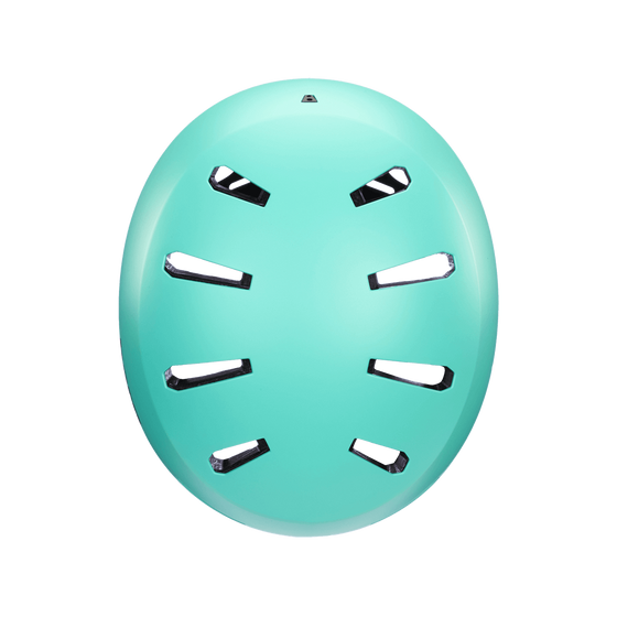 Bern  Macon 2.0 MIPS Matte Mint